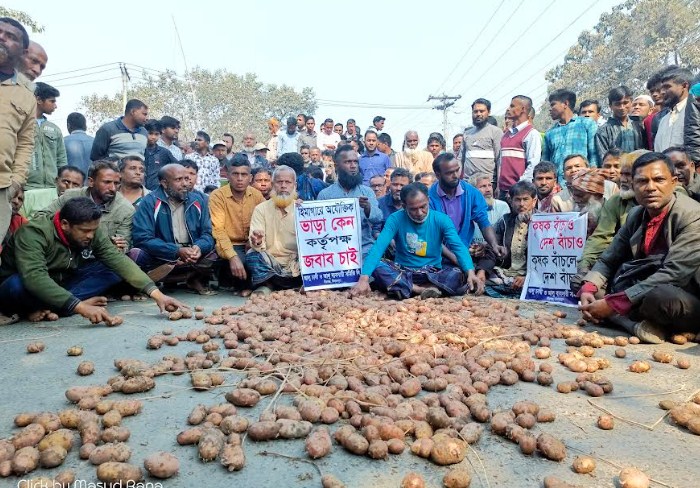 হিমাগারের ভাড়া বাড়ানোর প্রতিবাদে মহাসড়কে আলু ফেলে কৃষকদের বিক্ষোভ
