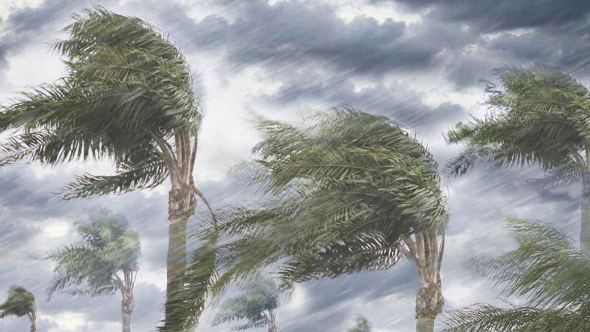দুপুরের মধ্যে যেসব অঞ্চলে ৬০ কিমি বেগে ঝড়ের আশঙ্কা